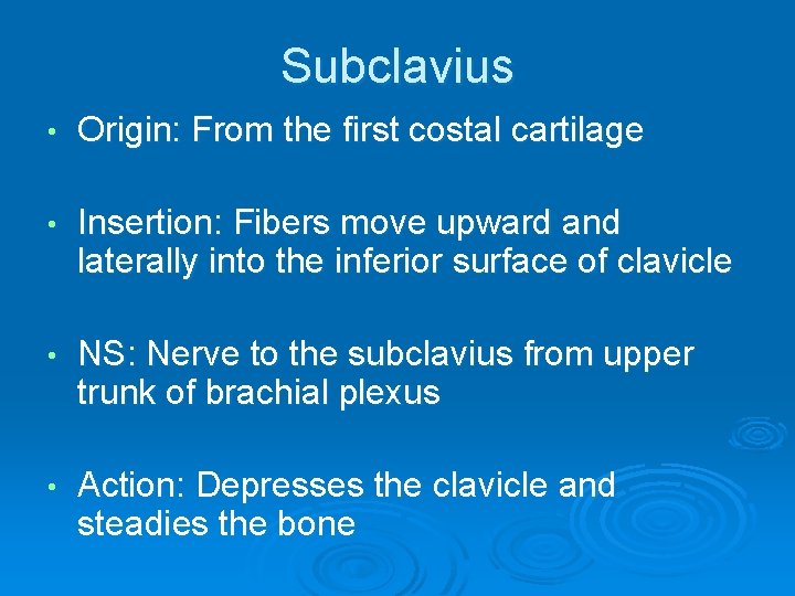 Subclavius • Origin: From the first costal cartilage • Insertion: Fibers move upward and