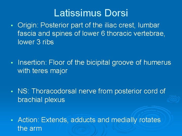 Latissimus Dorsi • Origin: Posterior part of the iliac crest, lumbar fascia and spines