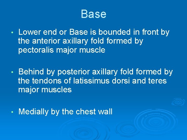 Base • Lower end or Base is bounded in front by the anterior axillary