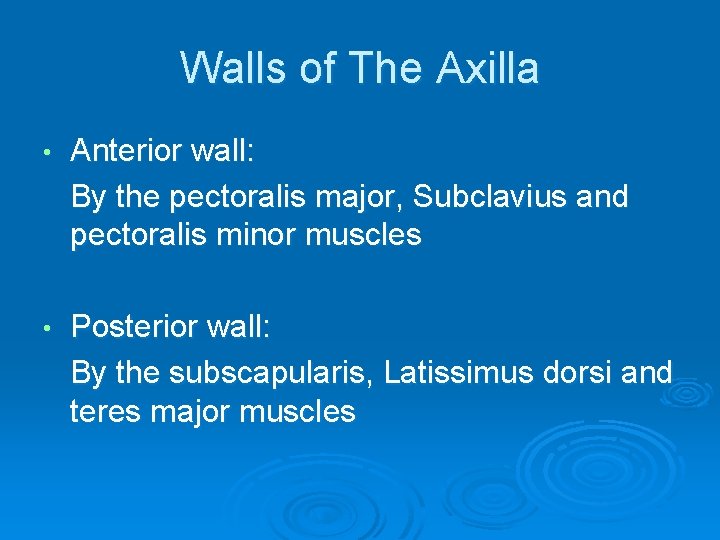 Walls of The Axilla • Anterior wall: By the pectoralis major, Subclavius and pectoralis