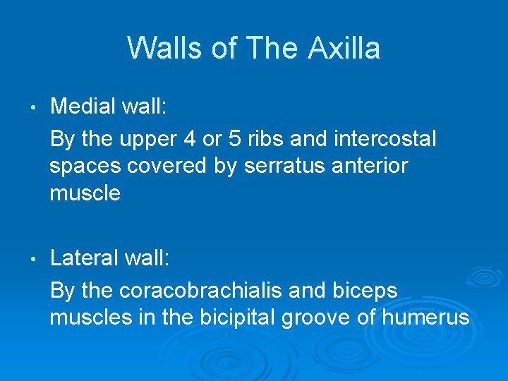 Walls of The Axilla • Medial wall: By the upper 4 or 5 ribs