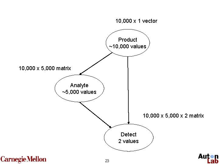 10, 000 x 1 vector Product ~10, 000 values 10, 000 x 5, 000