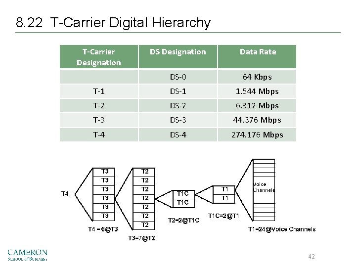 8. 22 T-Carrier Digital Hierarchy T-Carrier Designation DS Designation Data Rate DS-0 64 Kbps