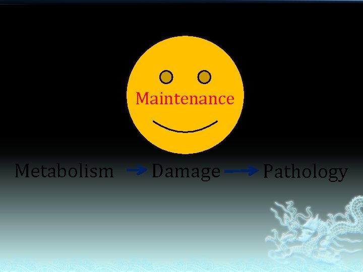 Maintenance Metabolism Damage Pathology 