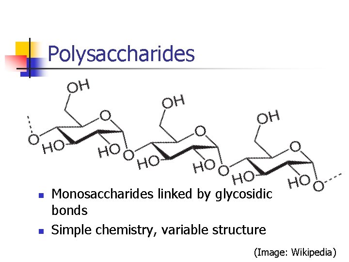 Polysaccharides n n Monosaccharides linked by glycosidic bonds Simple chemistry, variable structure (Image: Wikipedia)