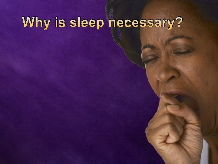 Why is sleep necessary? 