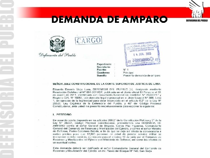 DEMANDA DE AMPARO 