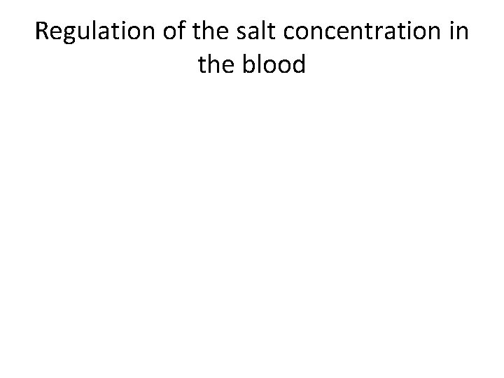 Regulation of the salt concentration in the blood 