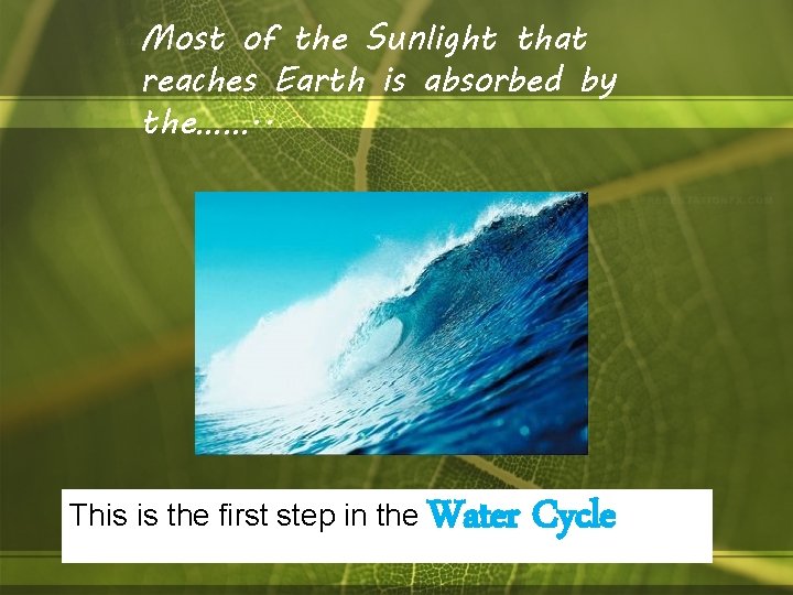 Most of the Sunlight that reaches Earth is absorbed by the……. . This is