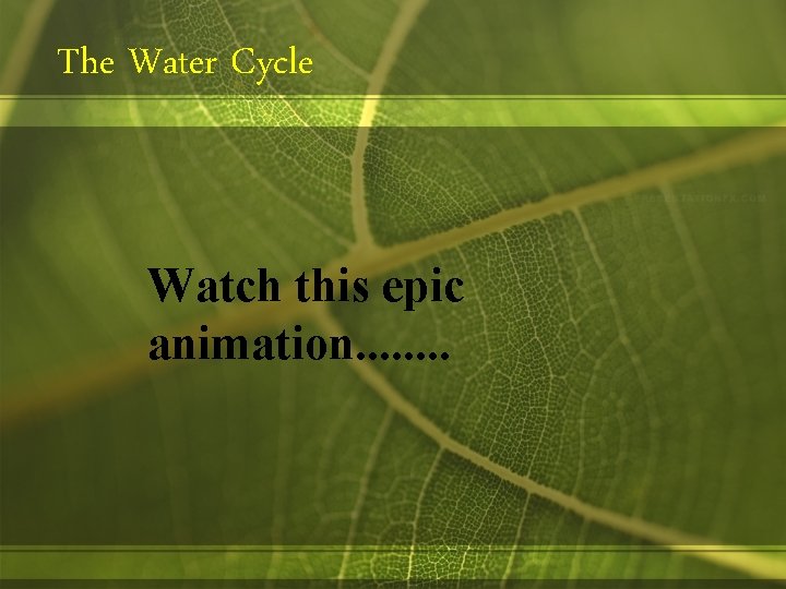 The Water Cycle Watch this epic animation. . . . 