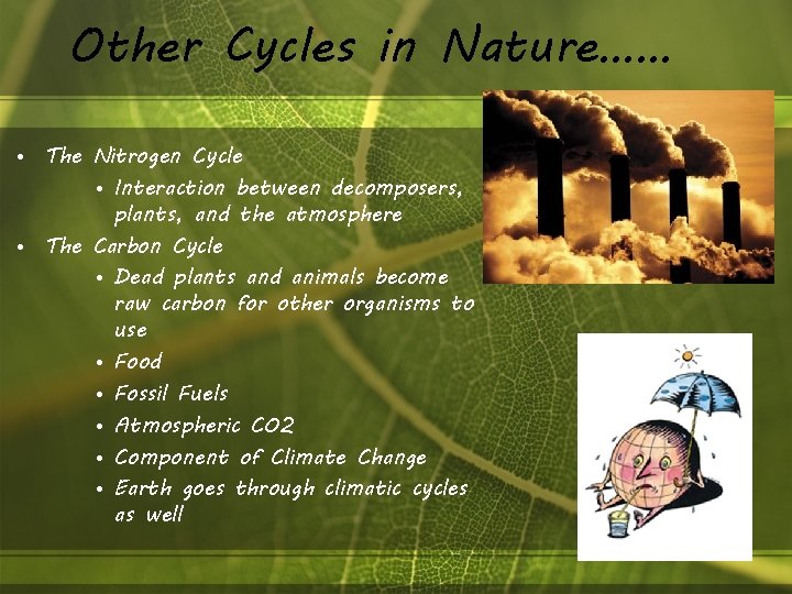 Other Cycles in Nature…… • The Nitrogen Cycle • Interaction between decomposers, plants, and