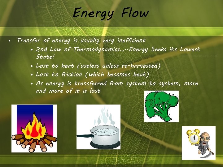 Energy Flow • Transfer of energy is usually very inefficient • 2 nd Law