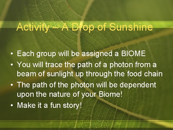 Activity – A Drop of Sunshine • Each group will be assigned a BIOME