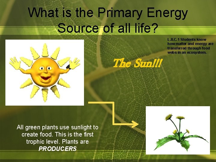 What is the Primary Energy Source of all life? L. 8. C. 1 Students