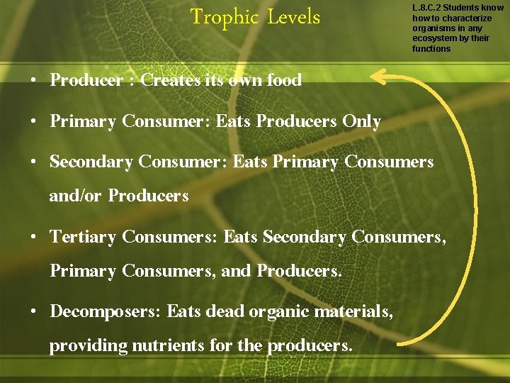 Trophic Levels L. 8. C. 2 Students know how to characterize organisms in any