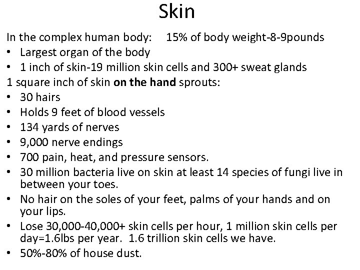 Skin In the complex human body: 15% of body weight-8 -9 pounds • Largest