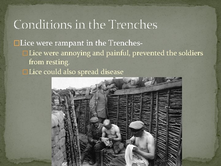 Conditions in the Trenches �Lice were rampant in the Trenches� Lice were annoying and Conditions in the Trenches �Lice were rampant in the Trenches� Lice were annoying and