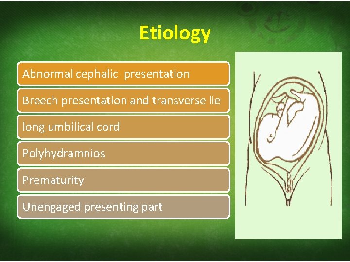 Etiology Abnormal cephalic presentation Breech presentation and transverse lie long umbilical cord Polyhydramnios Prematurity