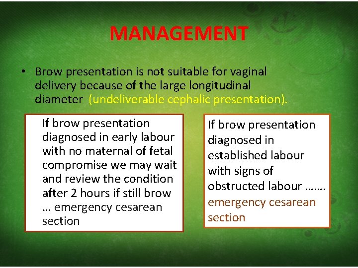 MANAGEMENT • Brow presentation is not suitable for vaginal delivery because of the large