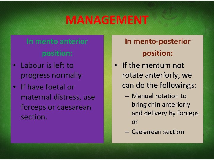 MANAGEMENT In mento anterior position: • Labour is left to progress normally • If