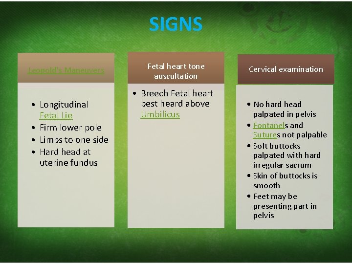 SIGNS Leopold's Maneuvers • Longitudinal Fetal Lie • Firm lower pole • Limbs to