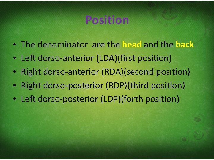 Position • • • The denominator are the head and the back. Left dorso‐anterior