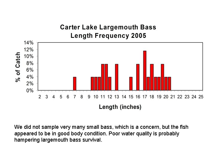 We did not sample very many small bass, which is a concern, but the