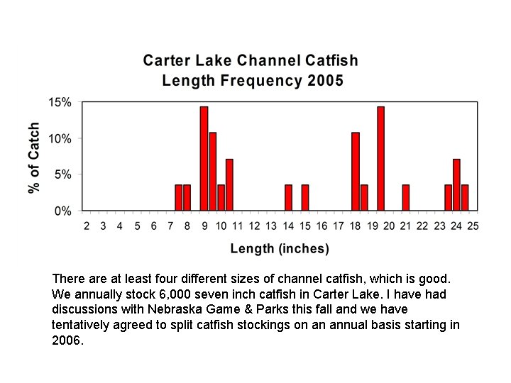 There at least four different sizes of channel catfish, which is good. We annually