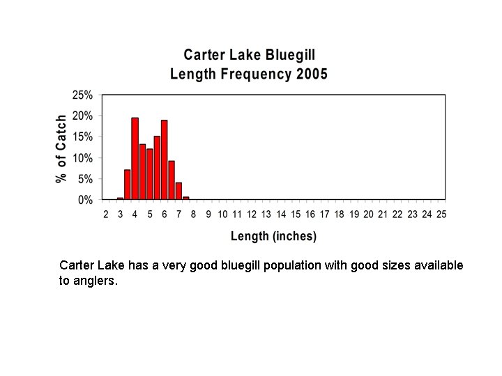 Carter Lake has a very good bluegill population with good sizes available to anglers.