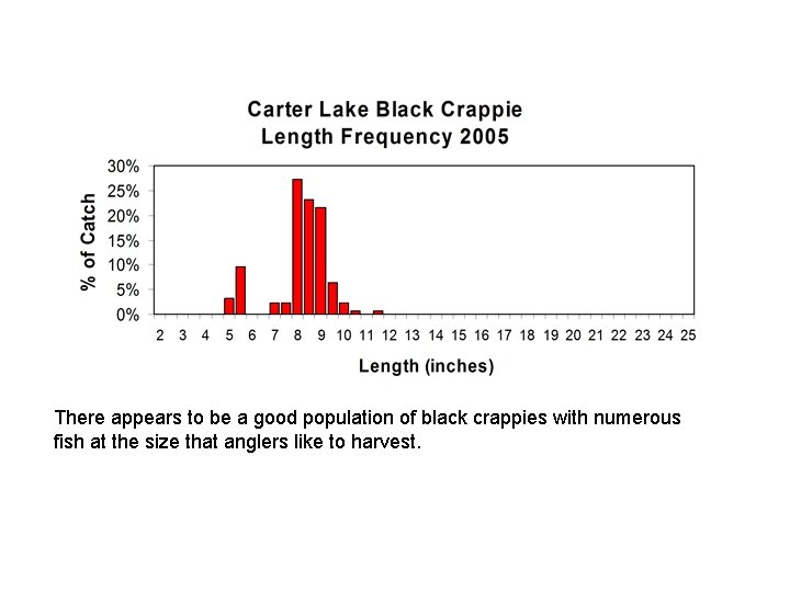 There appears to be a good population of black crappies with numerous fish at