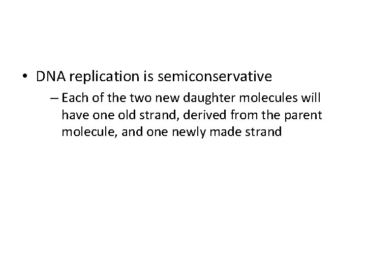  • DNA replication is semiconservative – Each of the two new daughter molecules