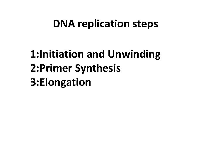 DNA replication steps 1: Initiation and Unwinding 2: Primer Synthesis 3: Elongation 