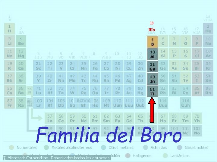 13 IIIA Familia del Boro 