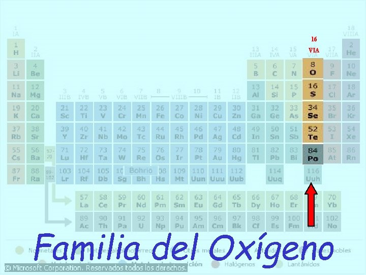 16 VIA Familia del Oxígeno 