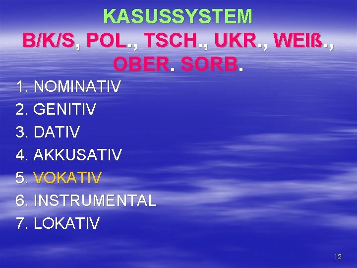KASUSSYSTEM B/K/S, POL. , TSCH. , UKR. , WEIß. , OBER. SORB. 1. NOMINATIV