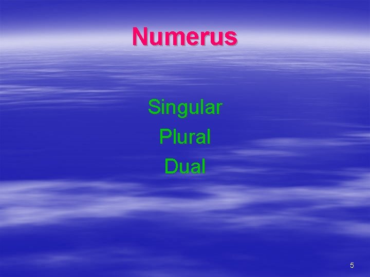 Numerus Singular Plural Dual 5 