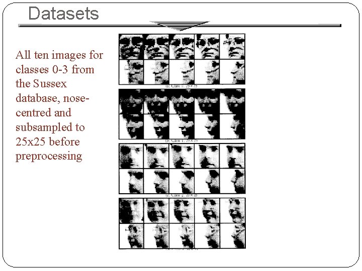 Datasets All ten images for classes 0 -3 from the Sussex database, nosecentred and