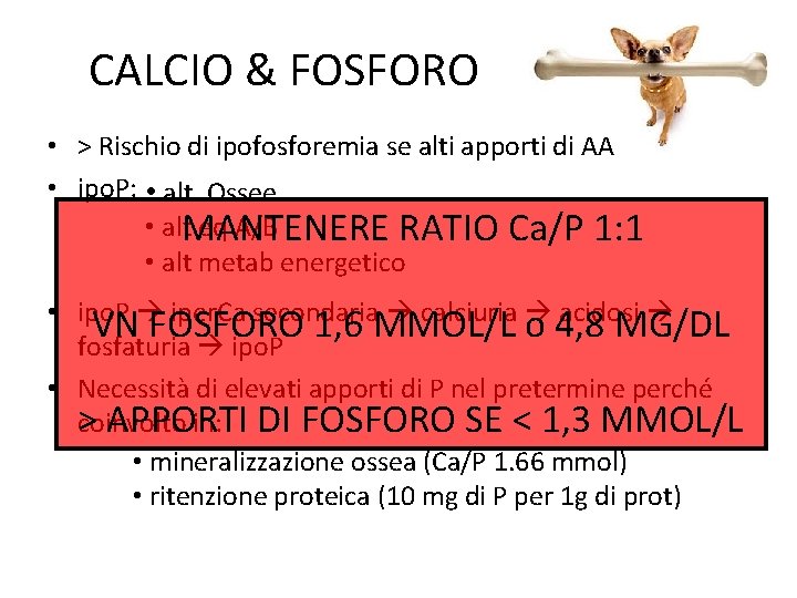 CALCIO & FOSFORO • > Rischio di ipofosforemia se alti apporti di AA •