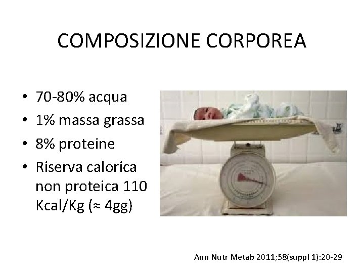 COMPOSIZIONE CORPOREA • • 70 -80% acqua 1% massa grassa 8% proteine Riserva calorica