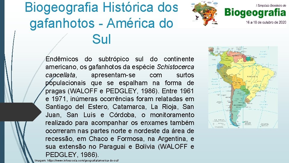 Biogeografia Histórica dos gafanhotos - América do Sul Endêmicos do subtrópico sul do continente