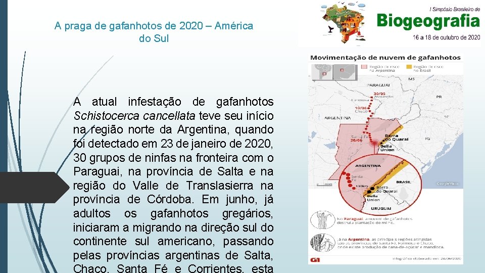 A praga de gafanhotos de 2020 – América do Sul A atual infestação de