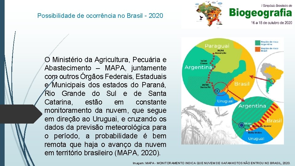 Possibilidade de ocorrência no Brasil - 2020 O Ministério da Agricultura, Pecuária e Abastecimento