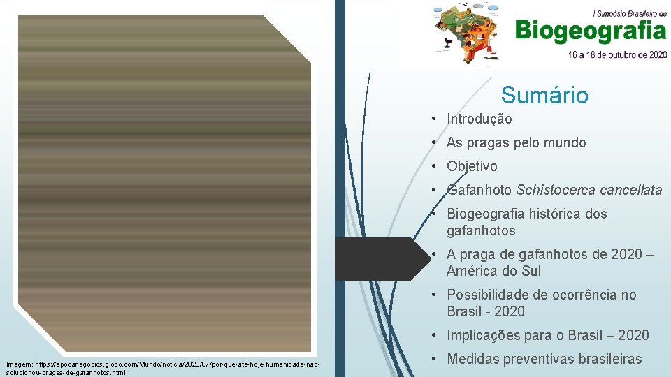 Sumário • Introdução • As pragas pelo mundo • Objetivo • Gafanhoto Schistocerca cancellata