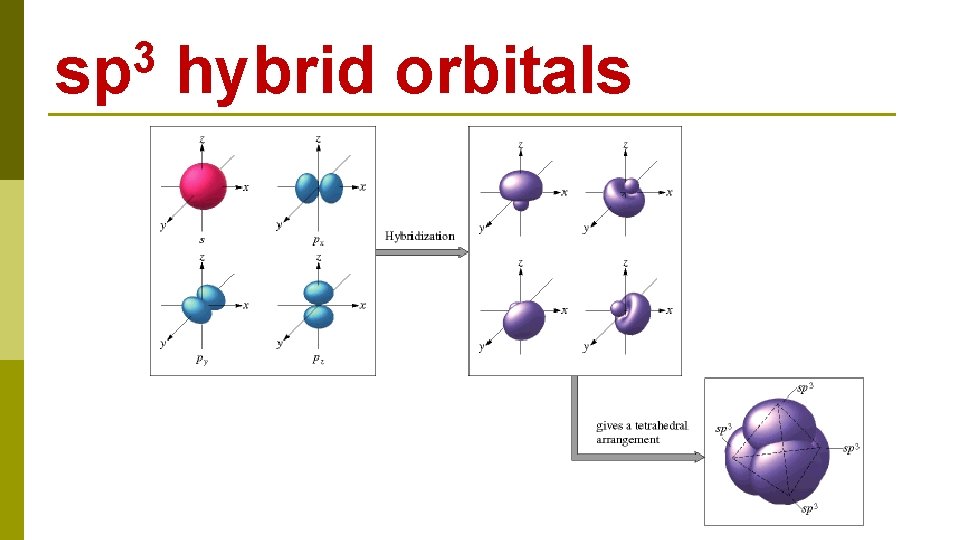 3 sp hybrid orbitals 