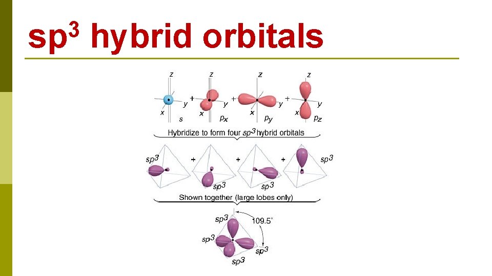 3 sp hybrid orbitals 