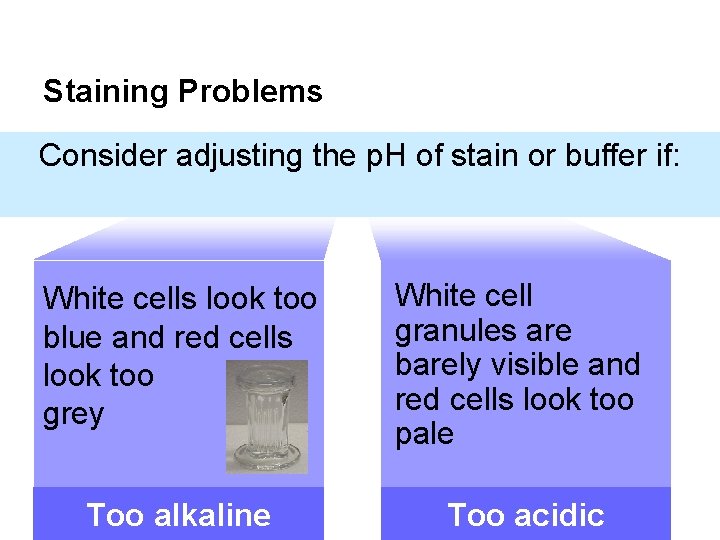 Staining Problems Consider adjusting the p. H of stain or buffer if: White cells