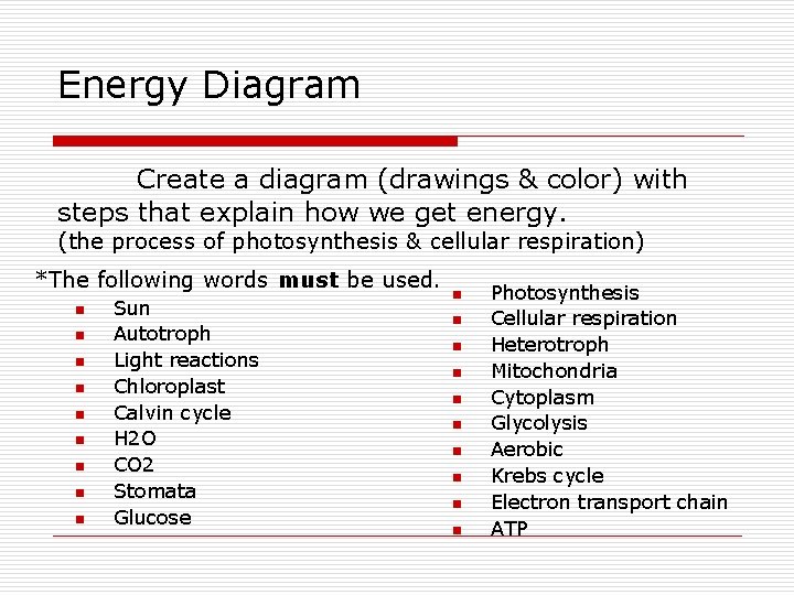 Energy Diagram Create a diagram (drawings & color) with steps that explain how we
