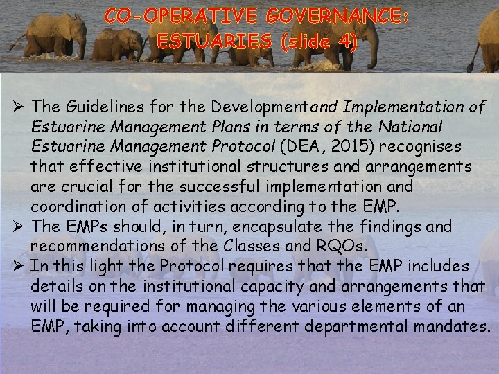 CO-OPERATIVE GOVERNANCE: ESTUARIES (slide 4) Ø The Guidelines for the Developmentand Implementation of Estuarine