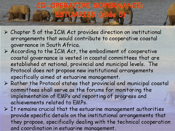 CO-OPERATIVE GOVERNANCE: ESTUARIES (slide 5) Ø Chapter 5 of the ICM Act provides direction