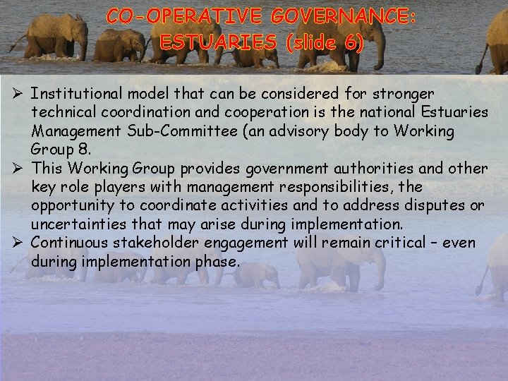 CO-OPERATIVE GOVERNANCE: ESTUARIES (slide 6) Ø Institutional model that can be considered for stronger